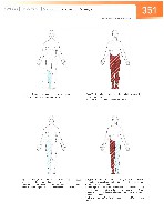 Sobotta Atlas of Human Anatomy  Head,Neck,Upper Limb Volume1 2006, page 358